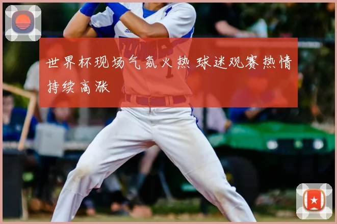 世界杯现场气氛火热 球迷观赛热情持续高涨