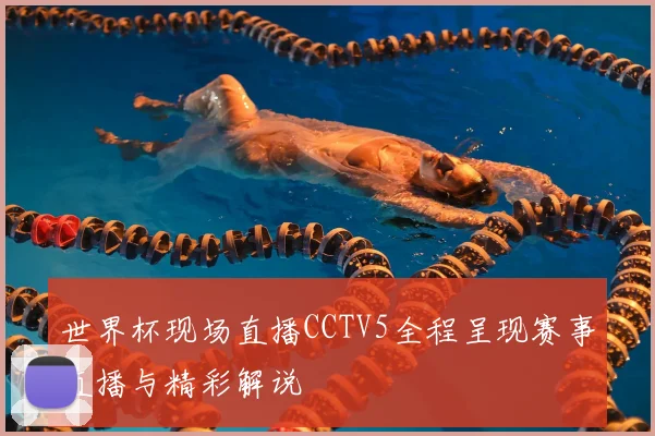世界杯现场直播CCTV5全程呈现赛事直播与精彩解说