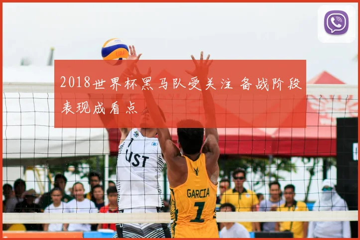 2018世界杯黑马队受关注 备战阶段表现成看点