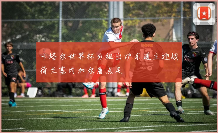 卡塔尔世界杯分组出炉东道主迎战荷兰塞内加尔看点足