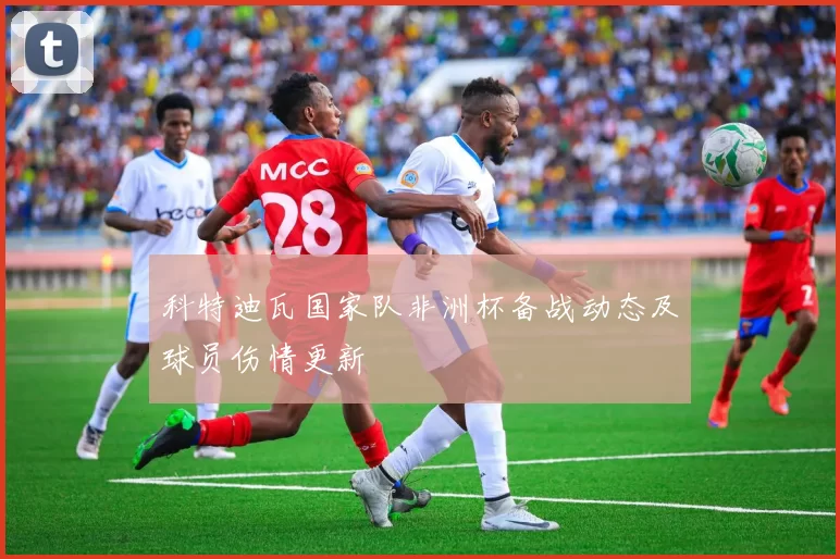 科特迪瓦国家队非洲杯备战动态及球员伤情更新