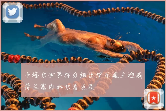 卡塔尔世界杯分组出炉东道主迎战荷兰塞内加尔看点足