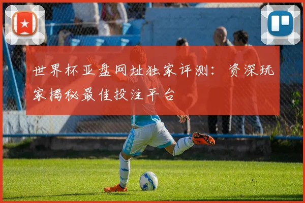 世界杯亚盘网址独家评测:资深玩家揭秘最佳投注平台