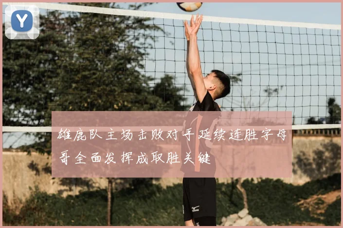 雄鹿队主场击败对手延续连胜字母哥全面发挥成取胜关键