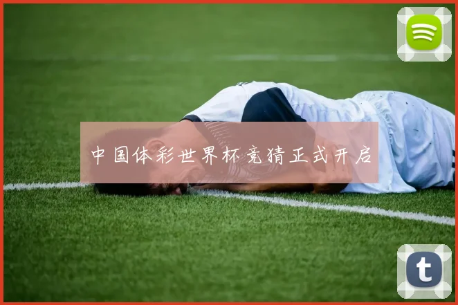 中国体彩世界杯竞猜正式开启