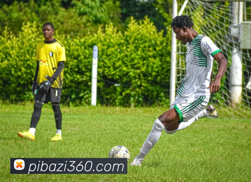 数据防护可视化