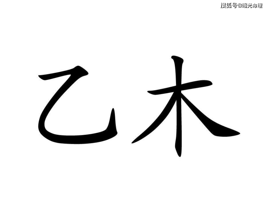 乙木生于未月八字算命网_身弱乙木_乙木生于寅月