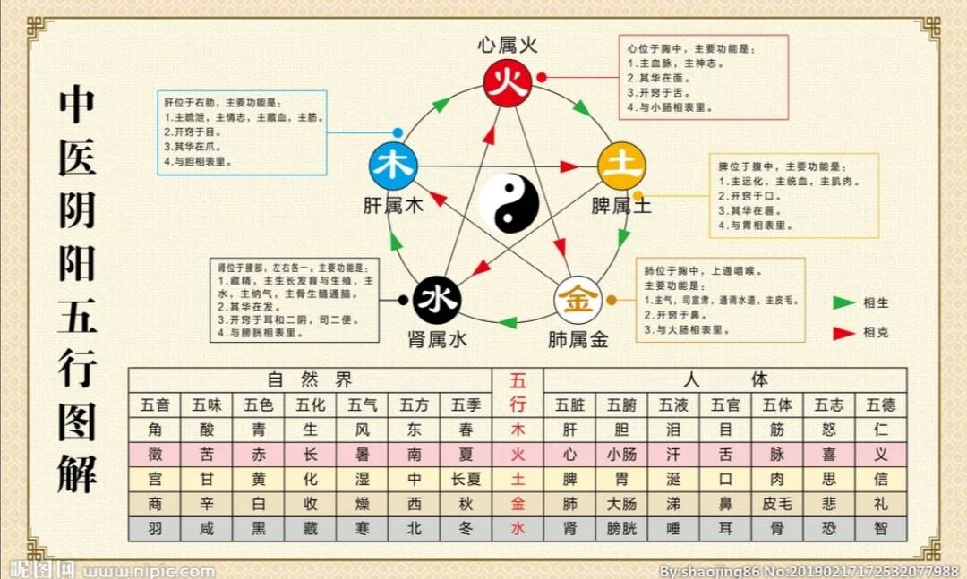 艾灸是先阳后阴顺序吗_己土是阴土还是阳土_五行 阳土 阴土的区别