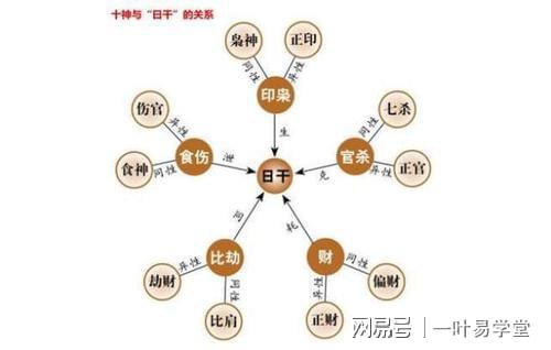 八字十神之间的生克关系