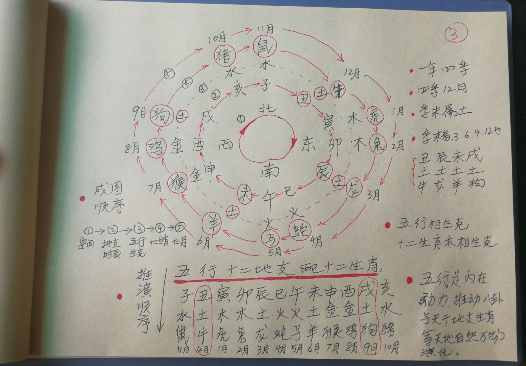 第一节第一节干支的阴阳属性(图)