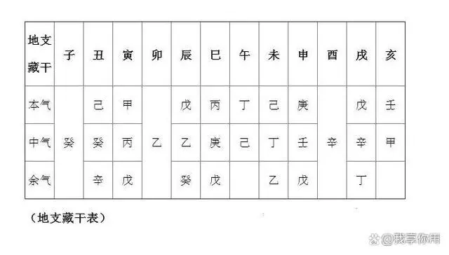 风水堂:地支五行有根及无根的标志