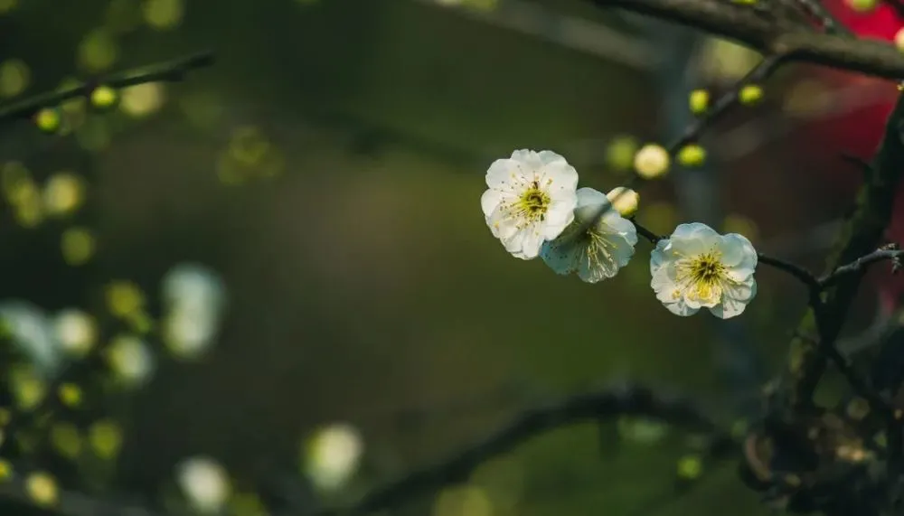 古岳丘壑天干有十个，是因为你不懂