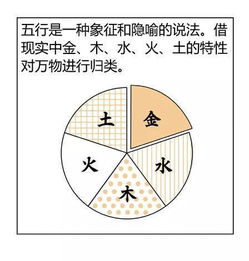 风水堂:八字五行个数（本气）