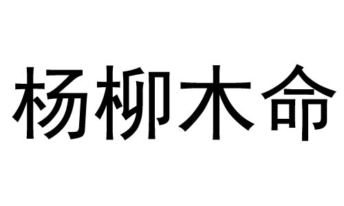 杨柳木命是贱命吗什么是"