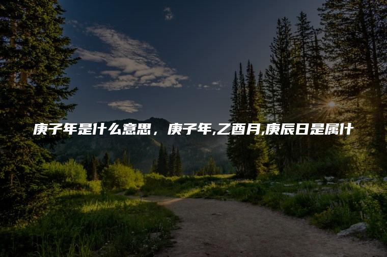 庚子年是什么意思，庚子年,乙酉月,庚辰日是属什