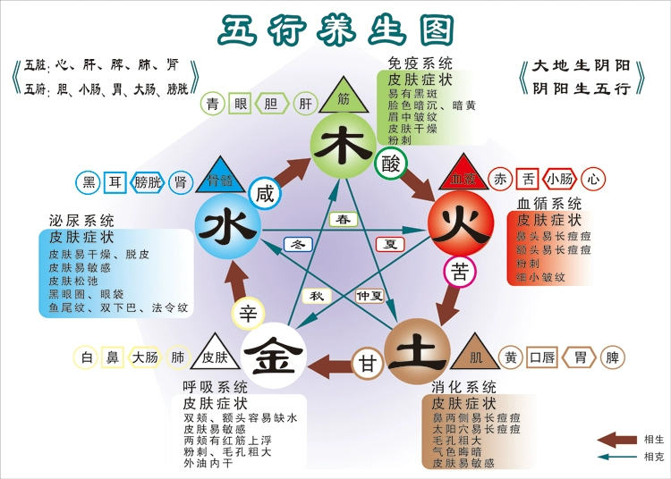 茗轩雅舍|什么是养生？易医相通“数字隐藏的奥秘”