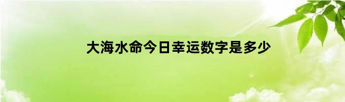 大海水命今日幸运数字是多少