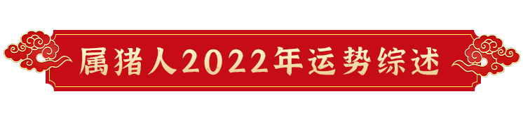 2022壬寅年属猪人应提前做好化太岁事宜