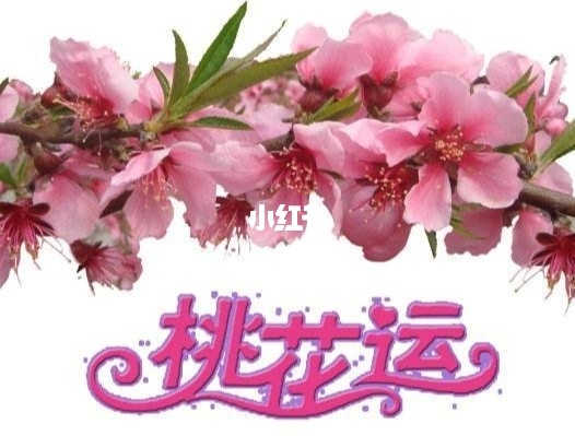 正缘桃花什么意思？八字中正缘星临桃花煞或红艳桃花