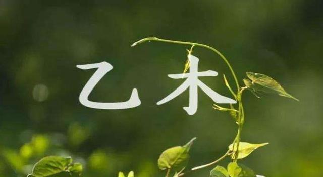 风水堂：给小孩取个互补的名字