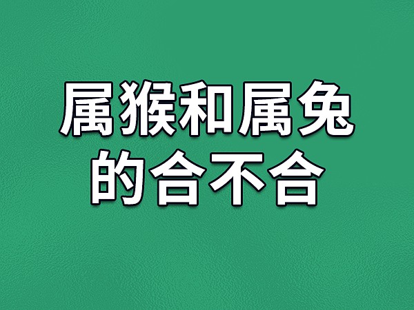 属兔人几月出生的人，一生劳碌奔波，无茂盛机遇