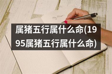 1983年属猪的五行属什么命到底如何?