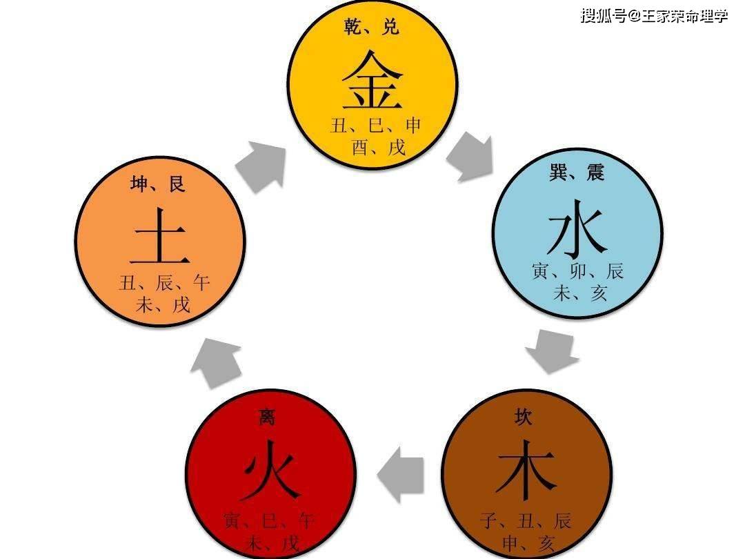 八字干甲木详解篇,十天干气数喜忌之篇