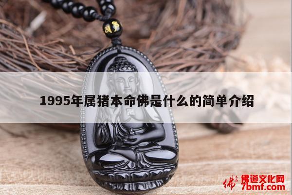 1995年2月初三出生的本命佛是什么？