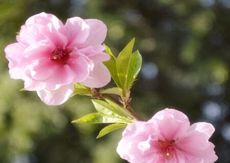 风水堂：八字测桃花年份的知识