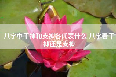 八字中干神和支神各代表什么 八字看干神还是支神