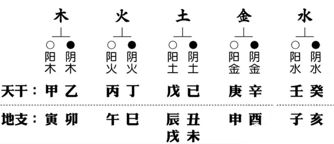 风水堂:八字日干论命丁