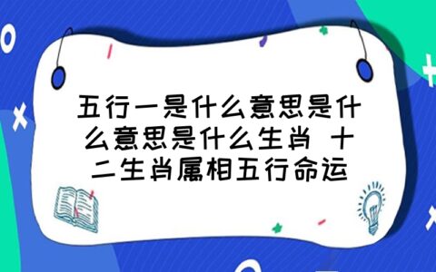 （非常道场）2022年十二生肖的幸运数字和幸运颜色