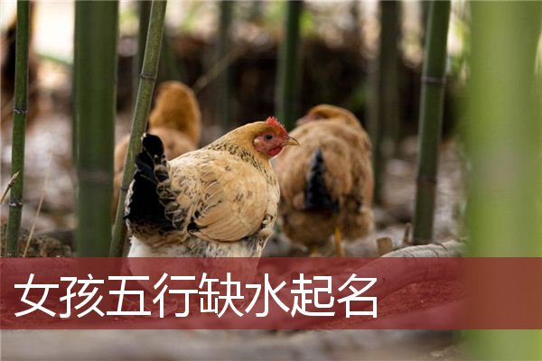 男孩子五行缺水缺木取名字大全，赶紧收藏！