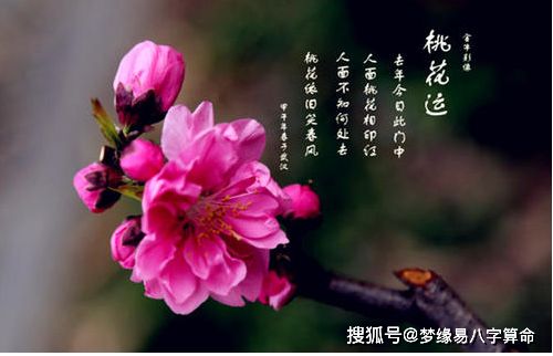 风水堂:八字桃花查法有哪些