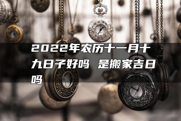 2023本命年适合乔迁吗23年属兔搬家运势