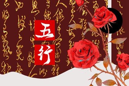 2021年出生的牛五行属什么 纳音为壁上土为金牛命