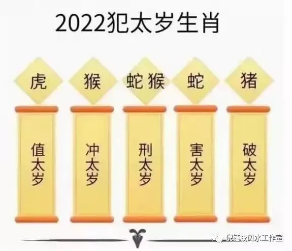 1984年生的属鼠人在这一年每月运势好不好