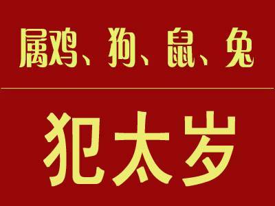 1984年生的属鼠人在这一年每月运势好不好