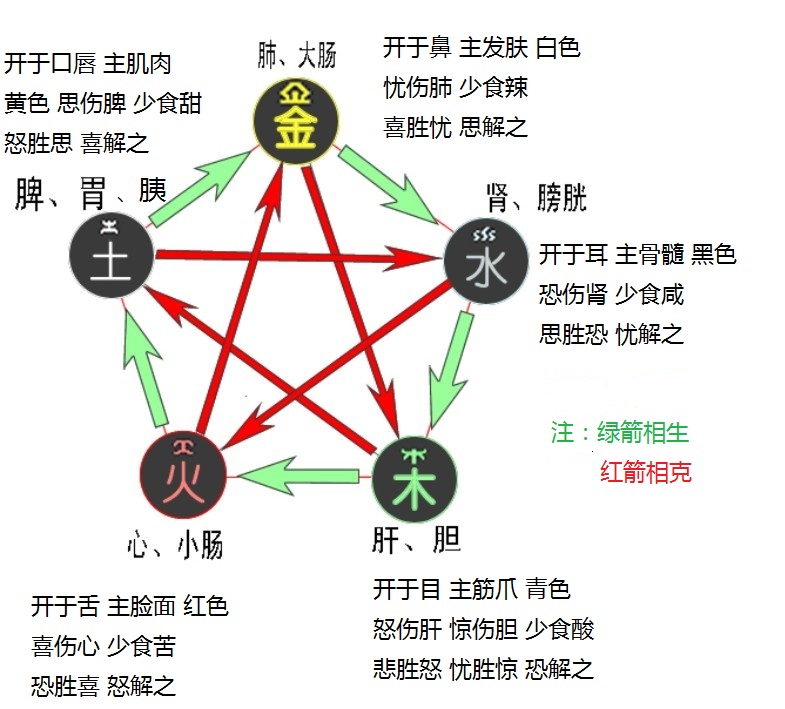 五行属性查询表甲子年生海中金命（1924）