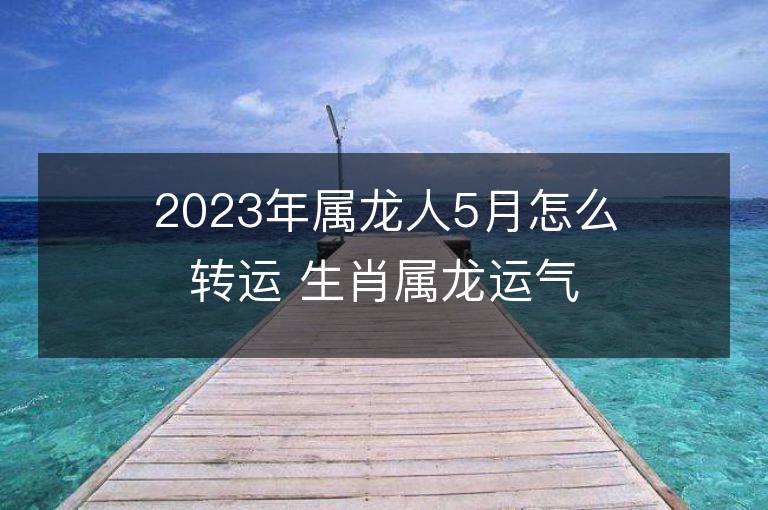 2022年各出生年份属龙人的运程分析及分析