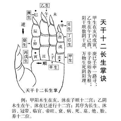 陈益峰风水堂:五行相生相克的奥秘!