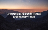 2022年11月生肖鼠正财运和偏财运哪个更旺 追求利益斗志昂扬