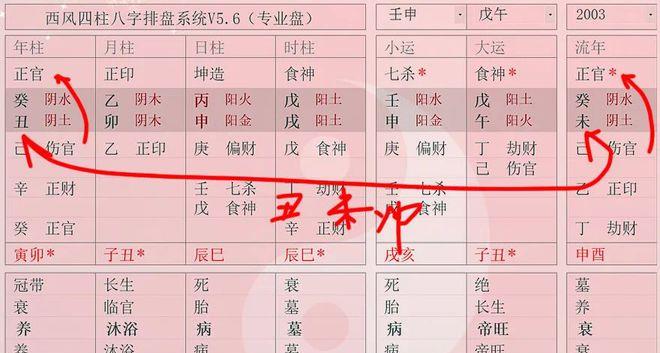 风水堂 八字大运是什么意思?