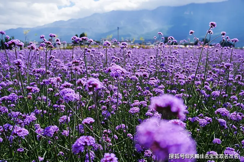 风水堂：你知道什么是异性生