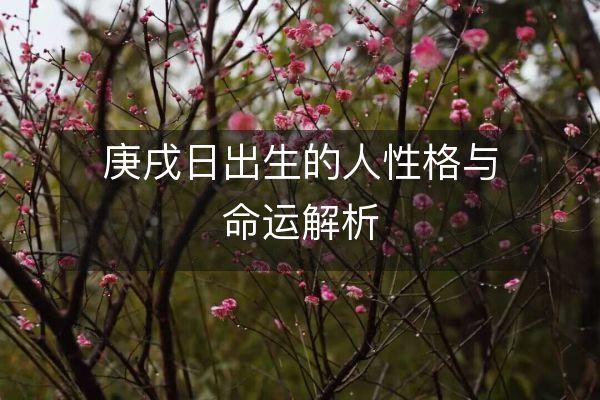 庚戌日出生的人性格与命运解析