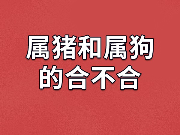 风水堂:初一出生的属猪的人命运解析