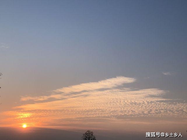 今年立夏有什么特点？今年夏季热吗？