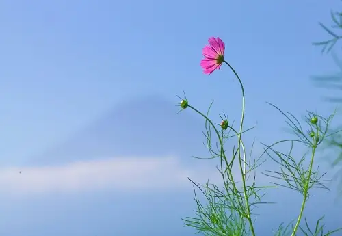 风水堂:八字格局决定一个人的性格