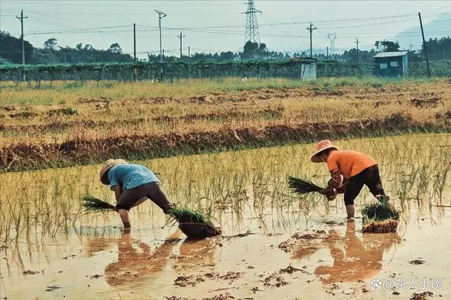 （李向东）农历三月十二“换甲日”有啥特点？