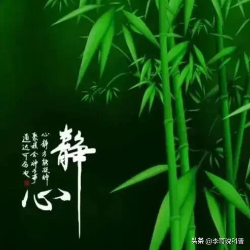 八字中的佛灯火：照亮人生旅途的祥和与智慧象征